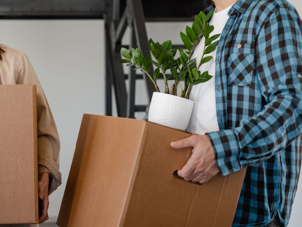 A couple moving homes, carrying a potted ZZ plant in a cardboard box indoors.